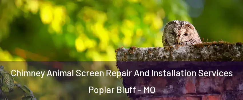  Chimney Animal Screen Repair And Installation Services Poplar Bluff - MO