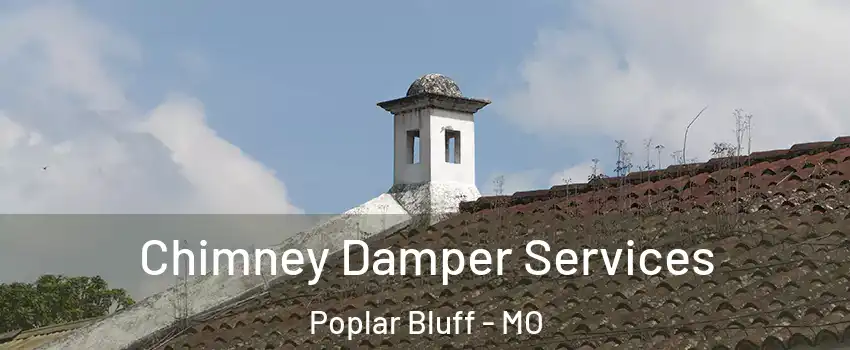 Chimney Damper Services Poplar Bluff - MO