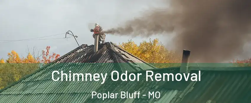  Chimney Odor Removal Poplar Bluff - MO