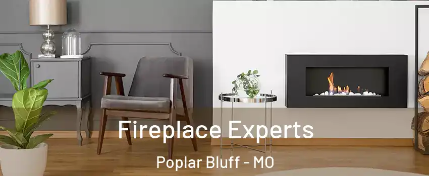  Fireplace Experts Poplar Bluff - MO