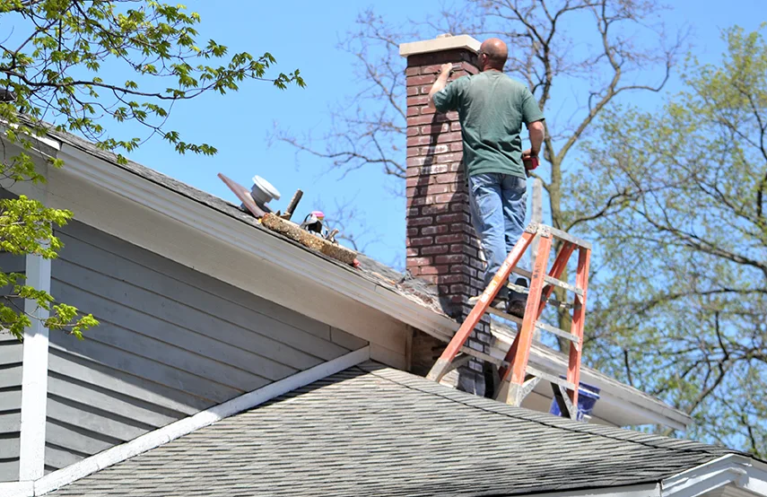 Chimney & Fireplace Inspections Services in Poplar Bluff, MO