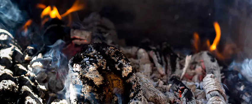 Creosote Removal Experts in Poplar Bluff, MO