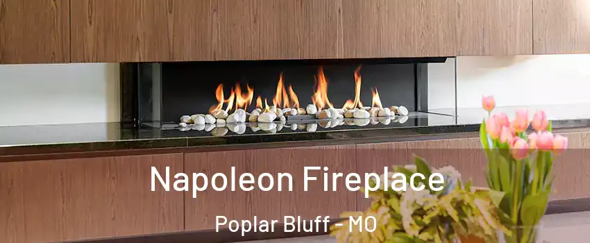 Napoleon Fireplace Poplar Bluff - MO